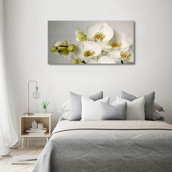 Foto quadro su tela Orchidea bianca