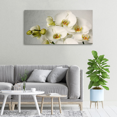 Foto quadro su tela Orchidea bianca