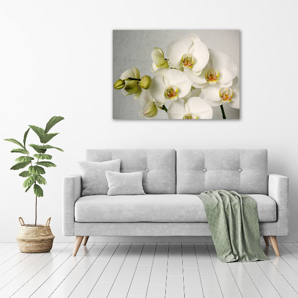 Foto quadro su tela Orchidea bianca