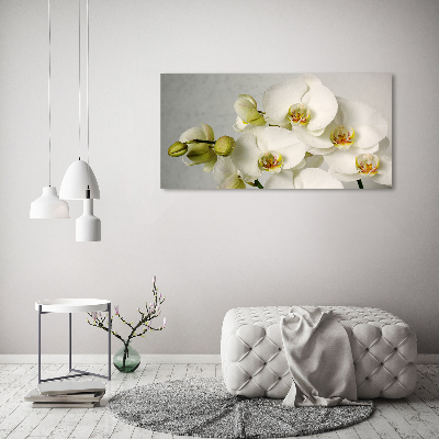 Foto quadro su tela Orchidea bianca