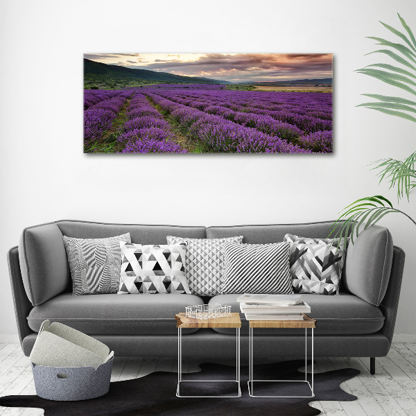 Foto quadro su tela Campo di lavanda
