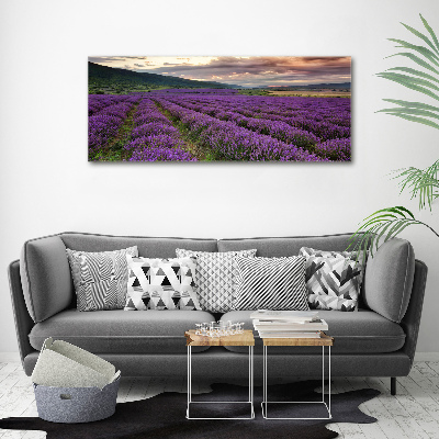 Foto quadro su tela Campo di lavanda