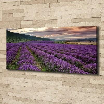 Foto quadro su tela Campo di lavanda
