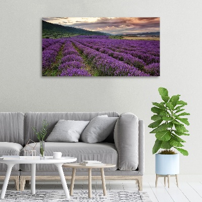 Foto quadro su tela Campo di lavanda