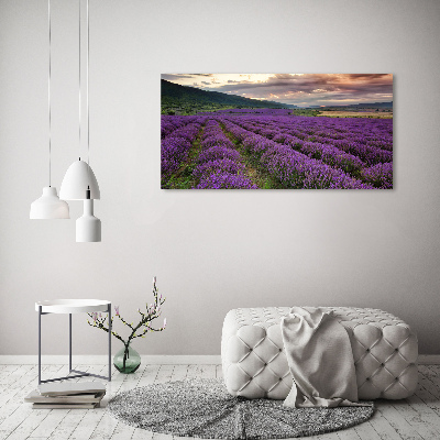 Foto quadro su tela Campo di lavanda