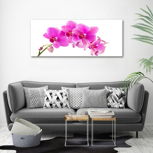 Foto quadro su tela Orchidea rosa