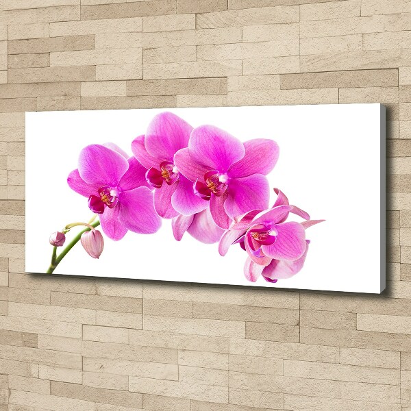 Foto quadro su tela Orchidea rosa
