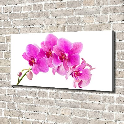 Foto quadro su tela Orchidea rosa