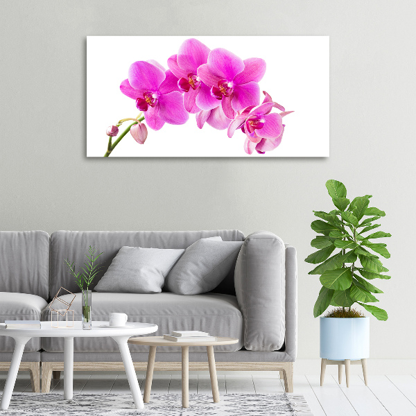 Foto quadro su tela Orchidea rosa