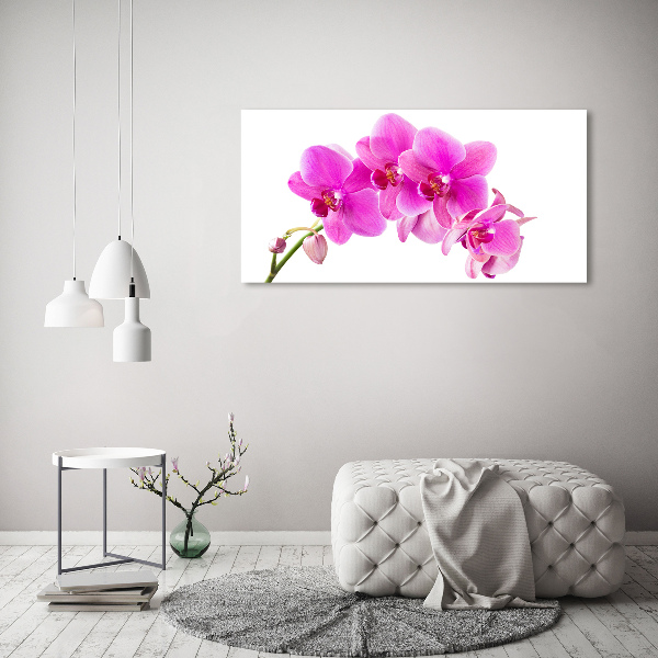 Foto quadro su tela Orchidea rosa