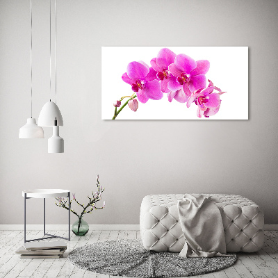 Foto quadro su tela Orchidea rosa