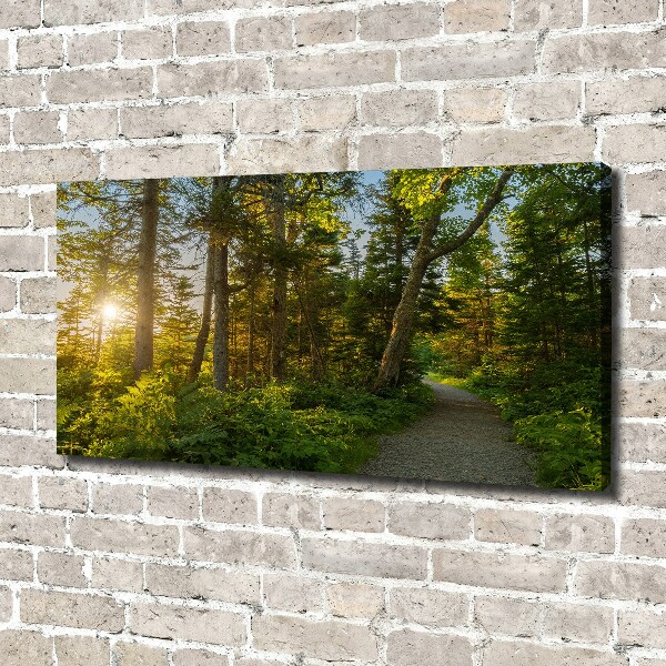 Quadro stampa su tela Foresta