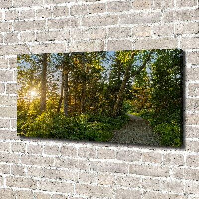 Quadro stampa su tela Foresta