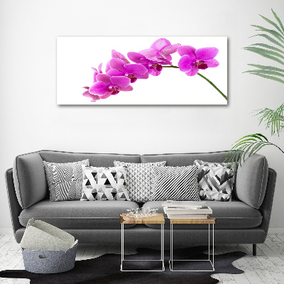 Quadro su tela Orchidea rosa