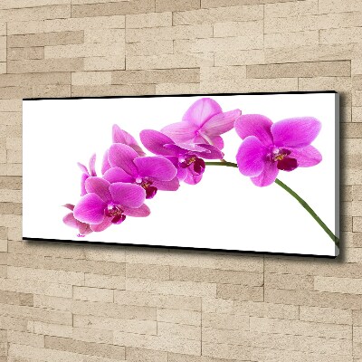 Quadro su tela Orchidea rosa