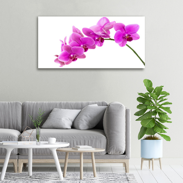 Quadro su tela Orchidea rosa
