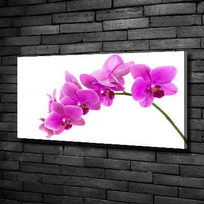Quadro su tela Orchidea rosa