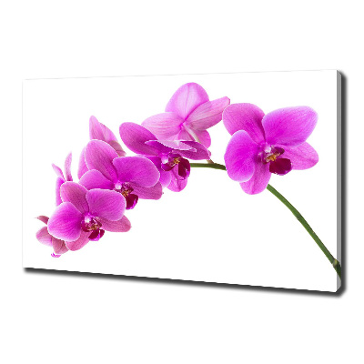 Quadro su tela Orchidea rosa