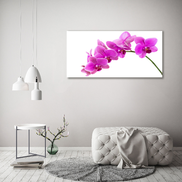 Quadro su tela Orchidea rosa