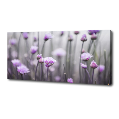 Foto quadro su tela Fiori di erba cipollina