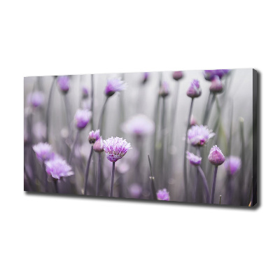 Foto quadro su tela Fiori di erba cipollina
