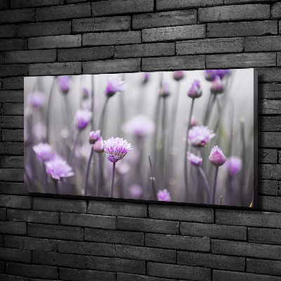 Foto quadro su tela Fiori di erba cipollina
