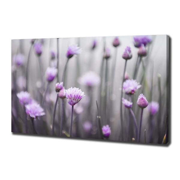 Foto quadro su tela Fiori di erba cipollina