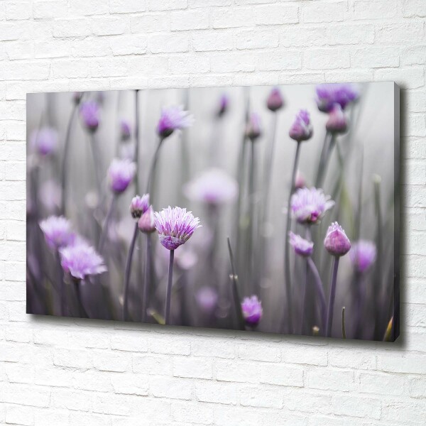 Foto quadro su tela Fiori di erba cipollina