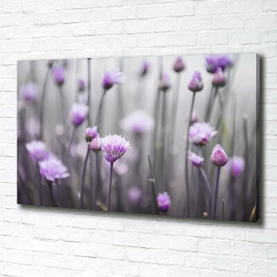 Foto quadro su tela Fiori di erba cipollina