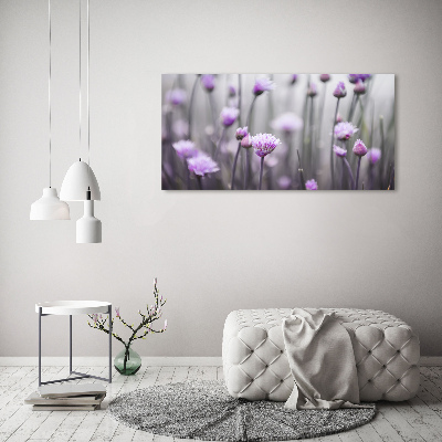 Foto quadro su tela Fiori di erba cipollina