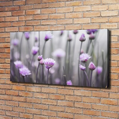 Foto quadro su tela Fiori di erba cipollina