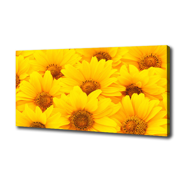 Quadro stampa su tela Girasoli