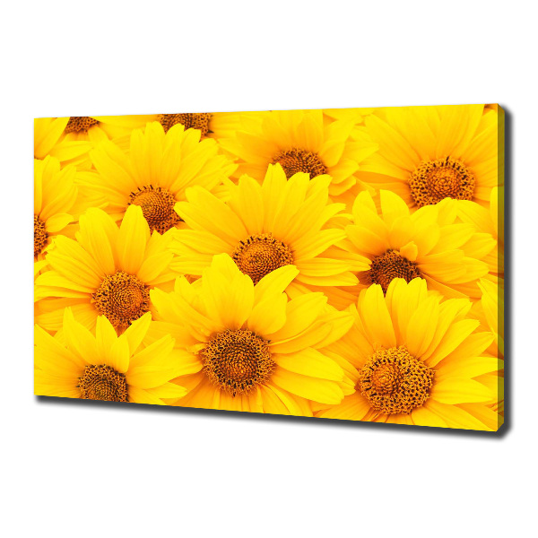 Quadro stampa su tela Girasoli