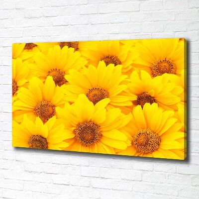Quadro stampa su tela Girasoli