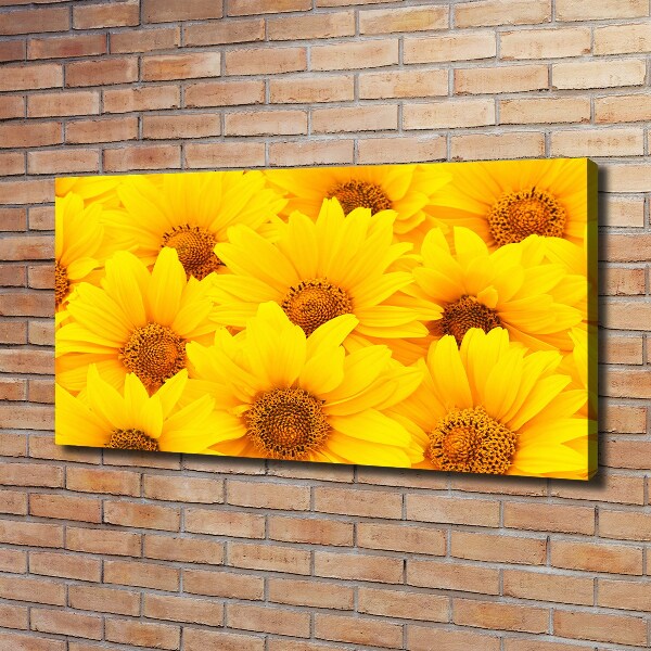 Quadro stampa su tela Girasoli