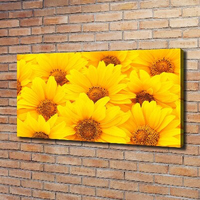 Quadro stampa su tela Girasoli
