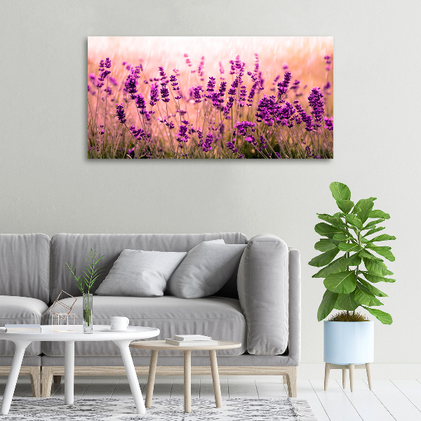 Quadro su tela Lavanda