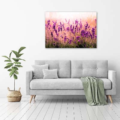 Quadro su tela Lavanda