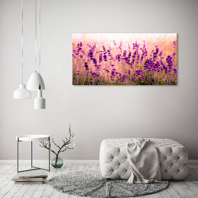 Quadro su tela Lavanda