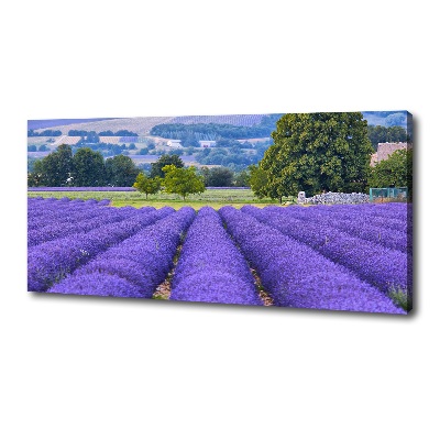 Quadro stampa su tela Campo di lavanda
