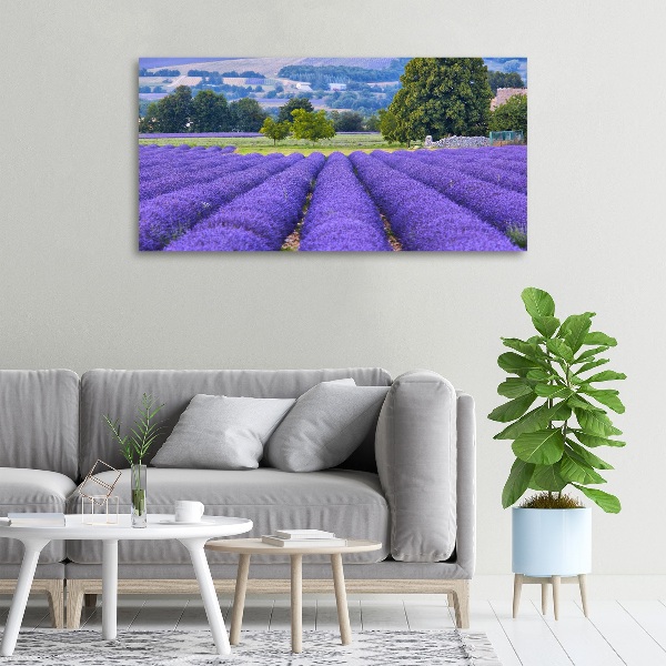 Quadro stampa su tela Campo di lavanda