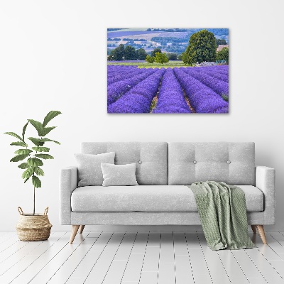 Quadro stampa su tela Campo di lavanda
