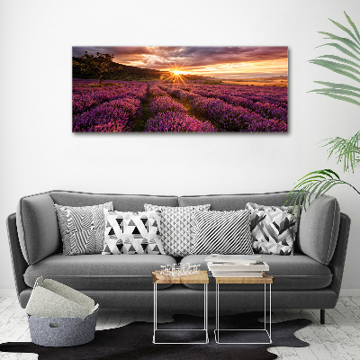Foto quadro su tela Campo di lavanda