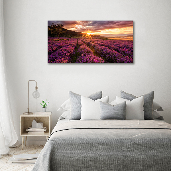 Foto quadro su tela Campo di lavanda