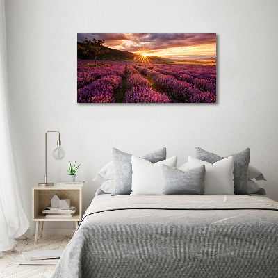 Foto quadro su tela Campo di lavanda