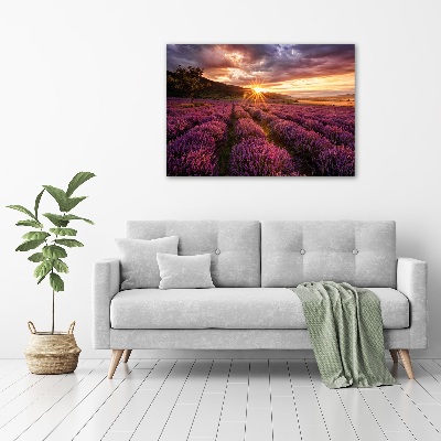 Foto quadro su tela Campo di lavanda