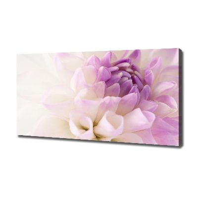 Foto quadro su tela Dalia bianca