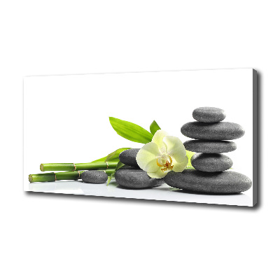 Quadro stampa su tela Orchidea