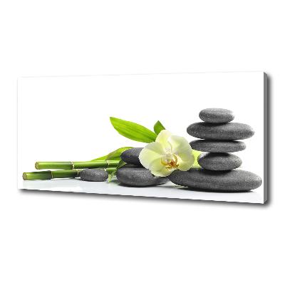 Quadro stampa su tela Orchidea