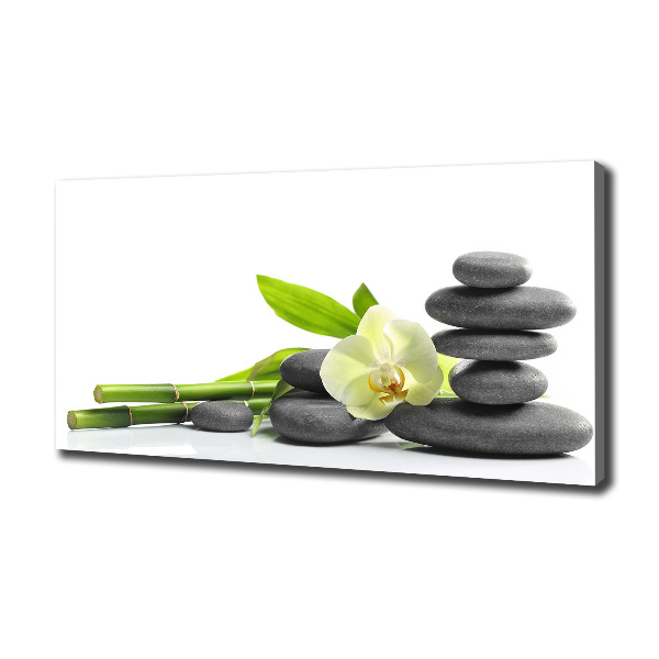 Quadro stampa su tela Orchidea